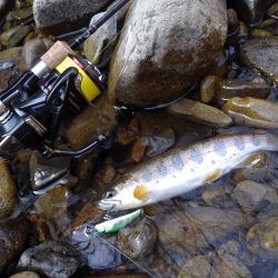 渓流ミノーイング